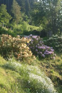Unser Garten